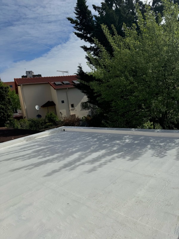 Mise en peinture Enercool d’un toit terrasse à Saint-Maur-Des-Fossés 