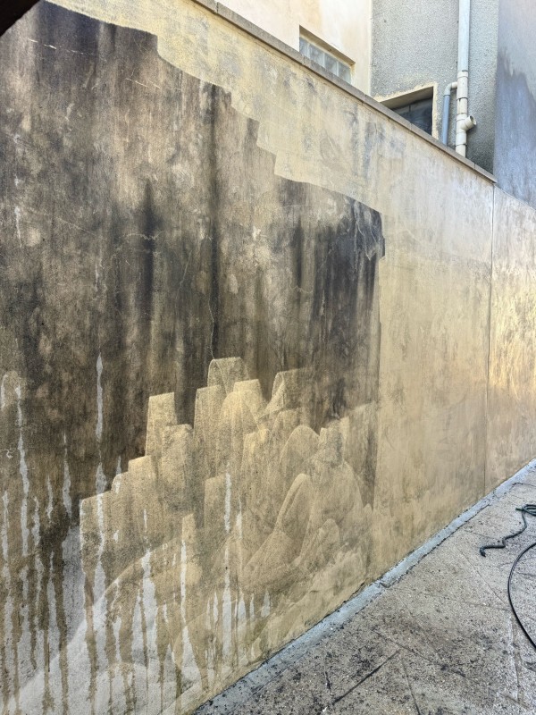 Ravalement de clôture et pignon avec peinture Guittet à Saint-Maur-des-Fossés (94)